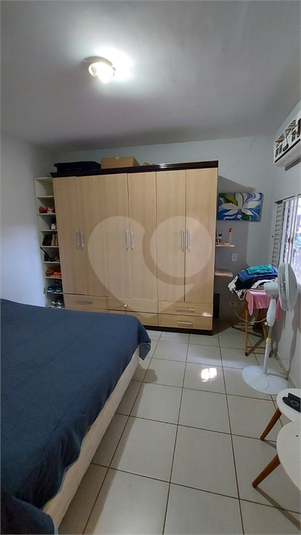 Foto REO1132782