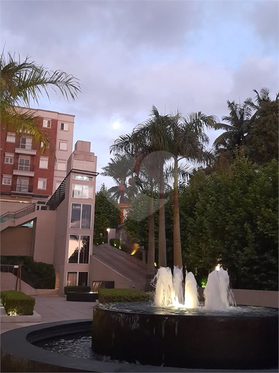 Foto REO1132788
