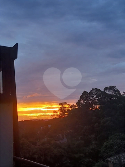 Foto REO1132788