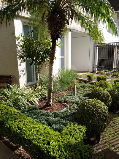 Foto REO1132790