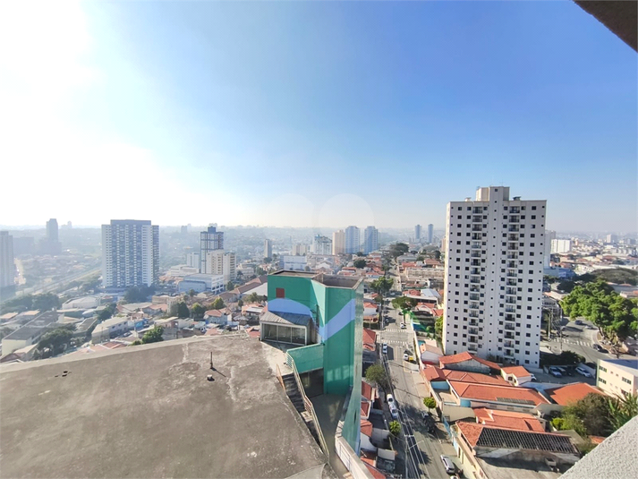 Foto REO1132792