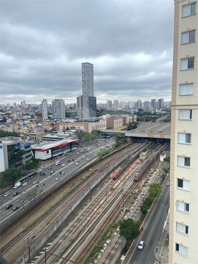 Foto REO1132798