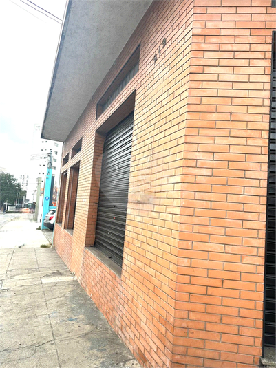 Foto REO1132799