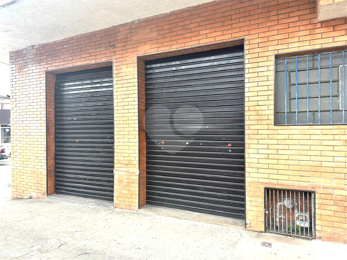 Foto REO1132799