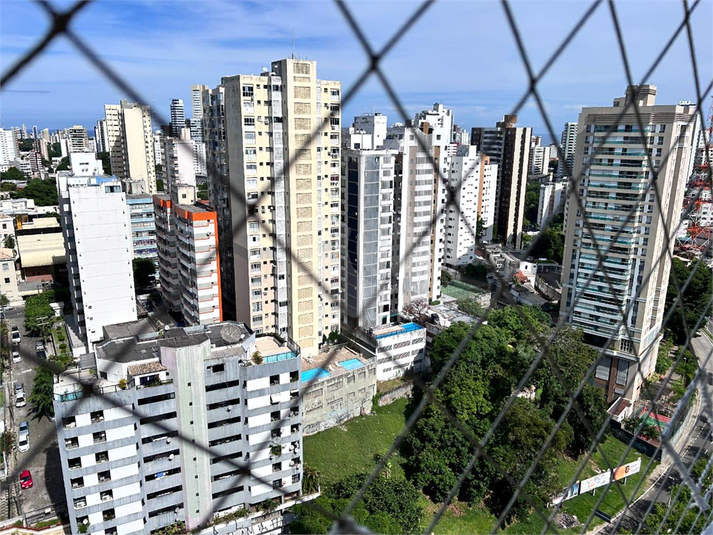 Foto REO1132801