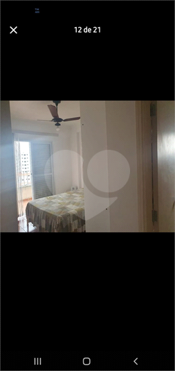 Foto REO1132807