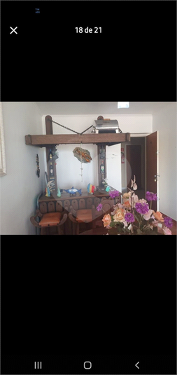 Foto REO1132807