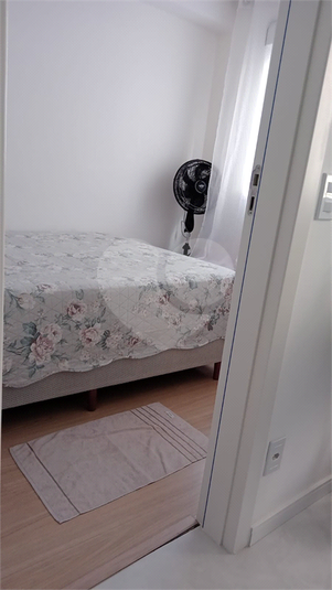 Foto REO1132812