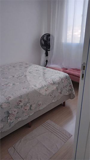 Foto REO1132812