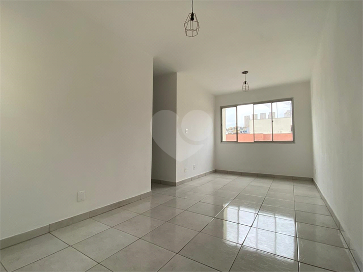 Foto REO1132834