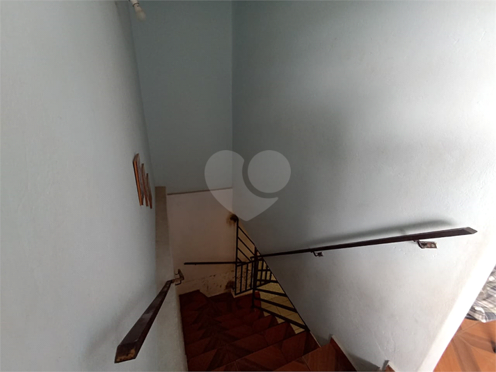 Foto REO1132835