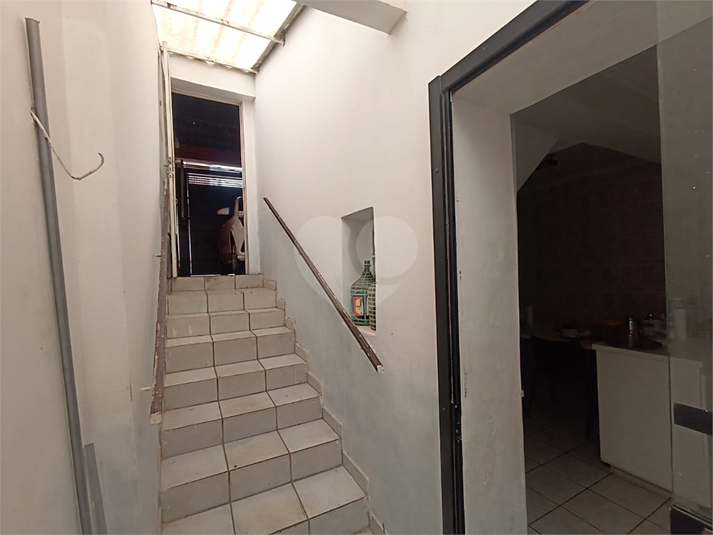 Foto REO1132835