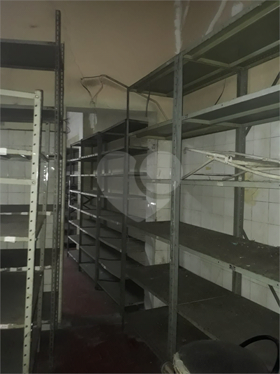 Foto REO1132842