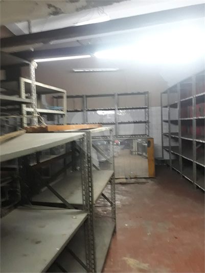 Foto REO1132842
