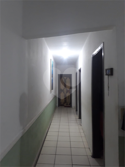 Foto REO1132842