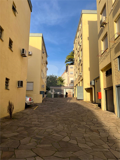 Foto REO1132843