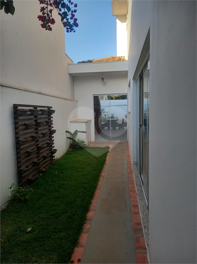Foto REO1132845