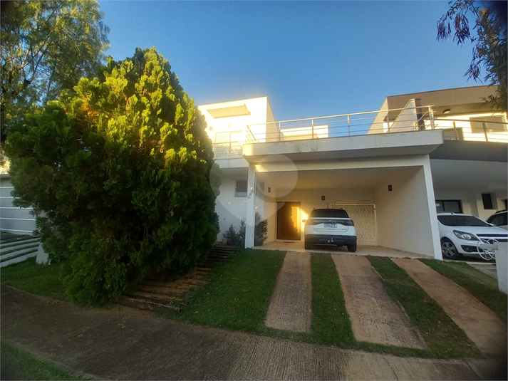 Foto REO1132845