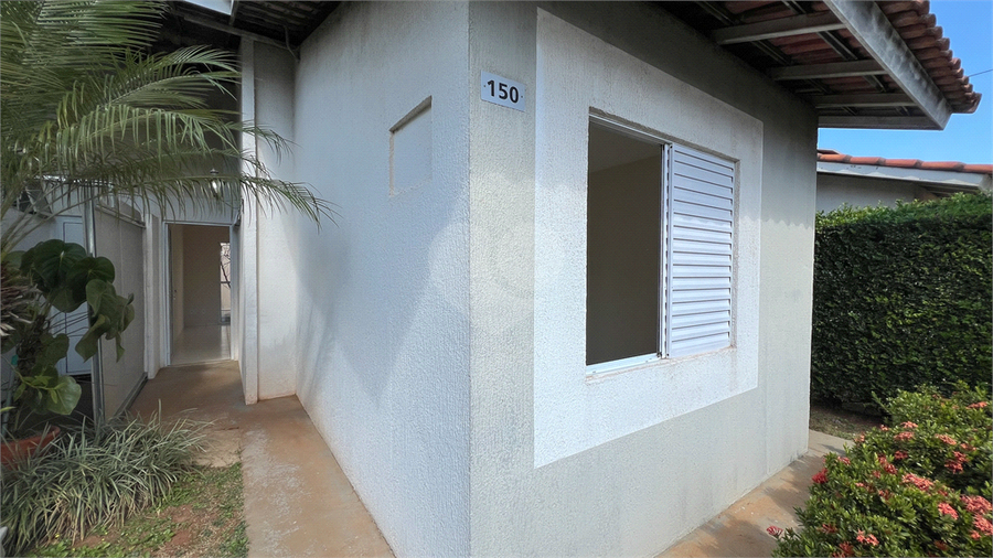 Foto REO1132846