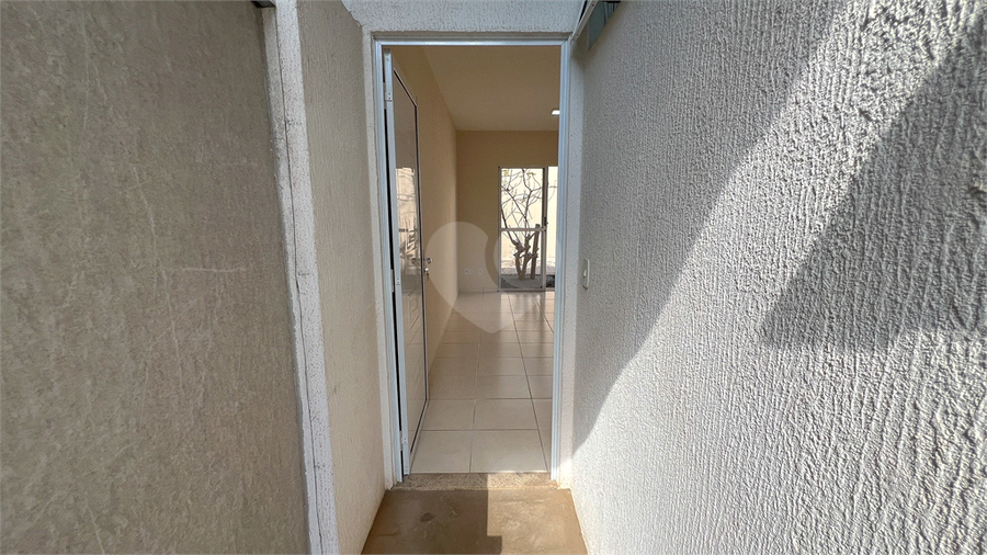Foto REO1132846