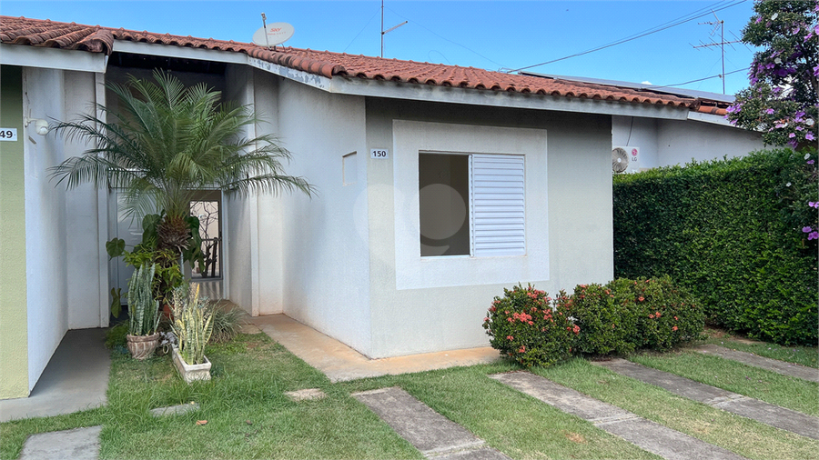 Foto REO1132846