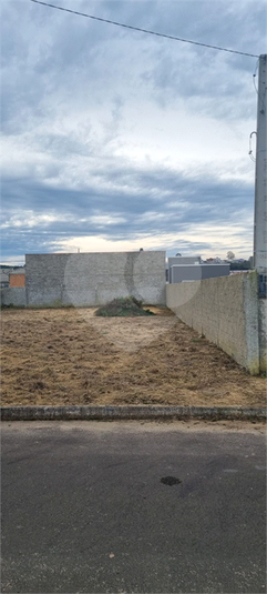 Foto REO1132854
