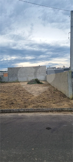 Foto REO1132854