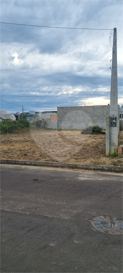 Foto REO1132854