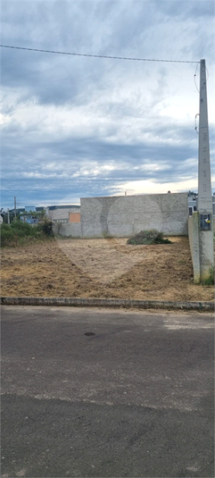 Foto REO1132854