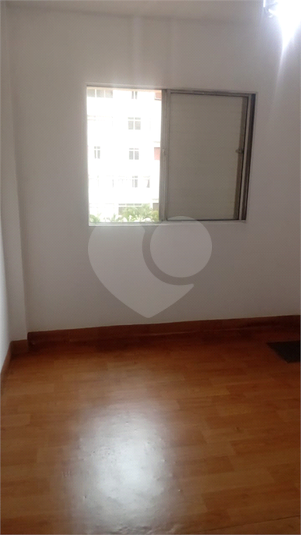 Foto REO1132855