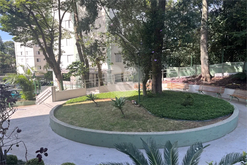Foto REO1132863