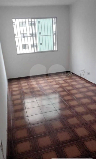 Foto REO1132863