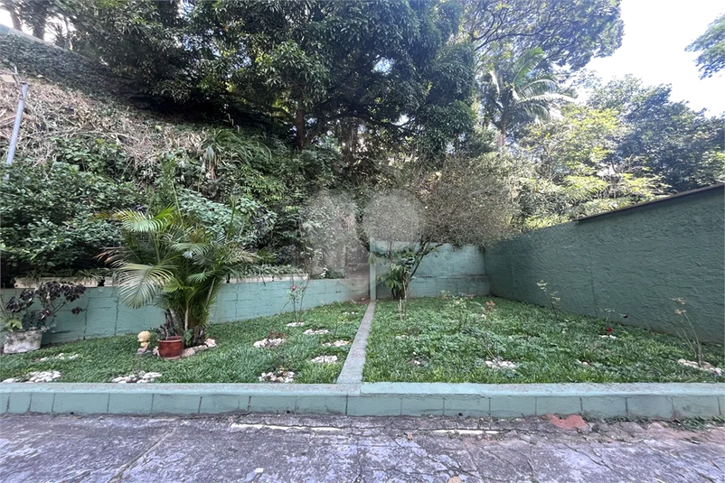 Foto REO1132863