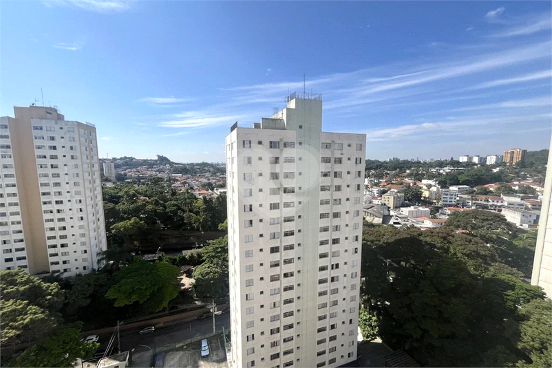 Foto REO1132863