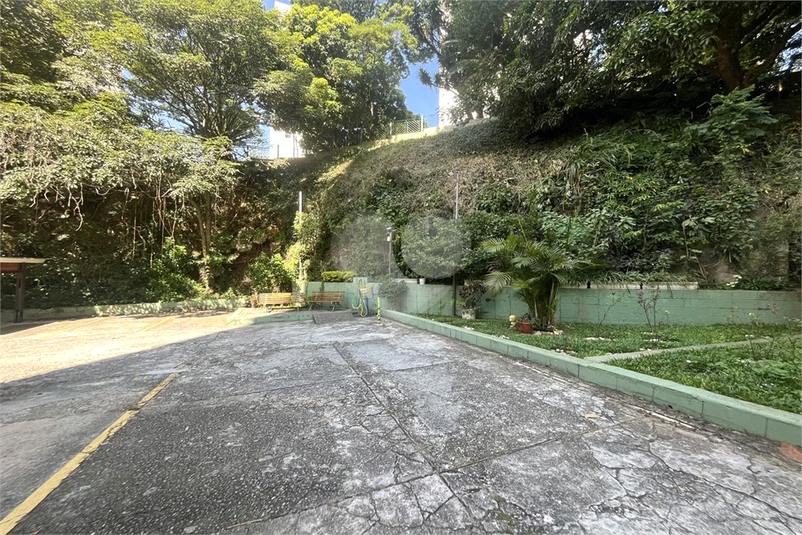 Foto REO1132863