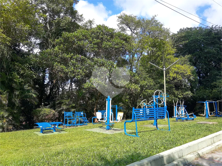 Foto REO1132863
