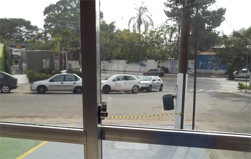 Foto REO1132868