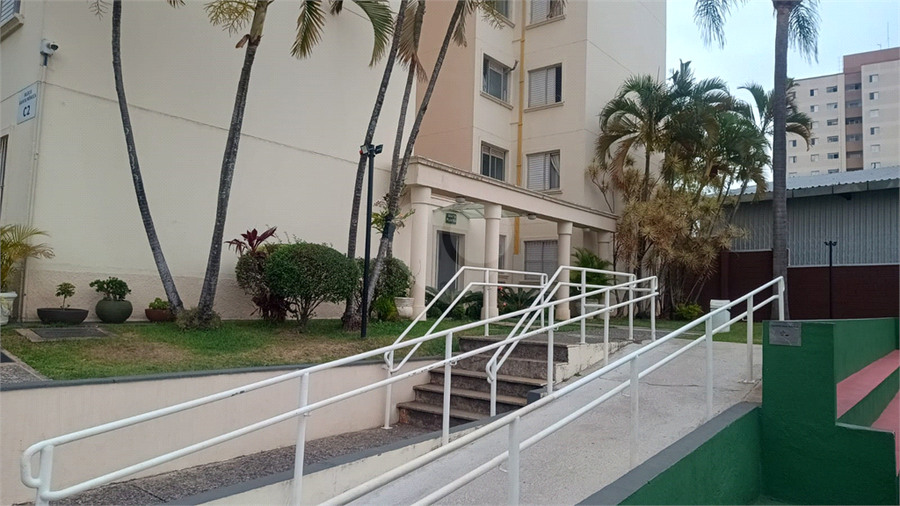 Foto REO1132870
