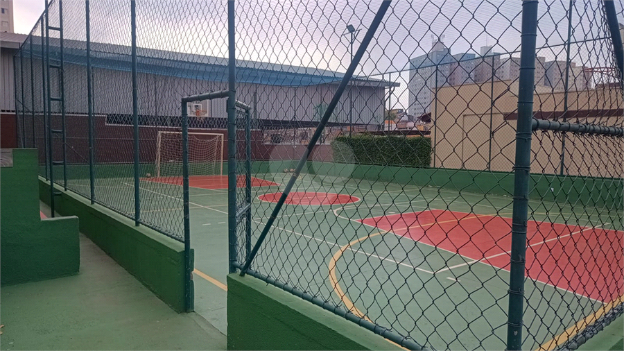 Foto REO1132870