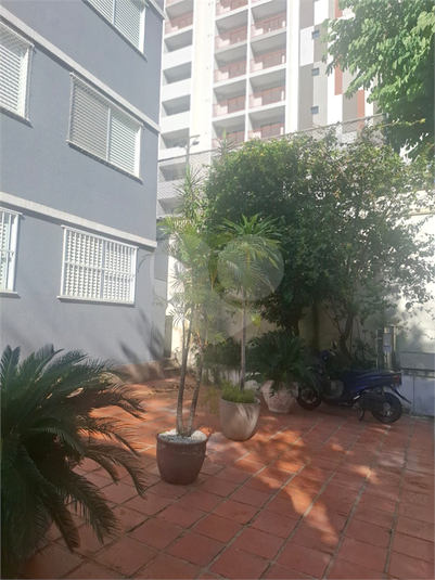 Foto REO1132886