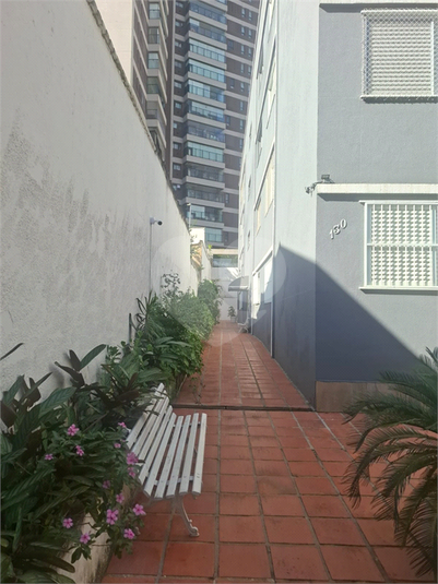 Foto REO1132886