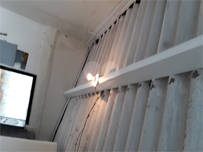 Foto REO1132893