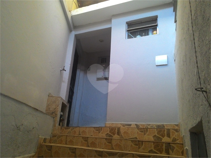 Foto REO1132895