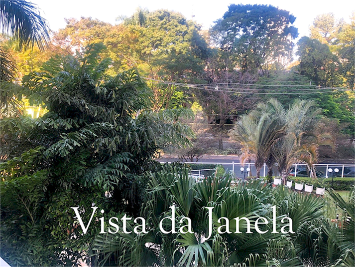 Foto REO1132901