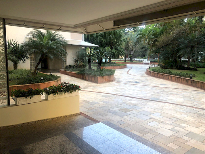 Foto REO1132901