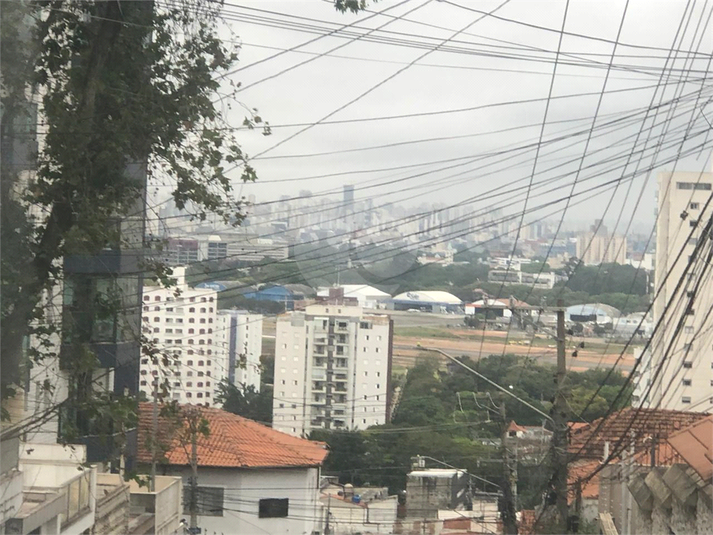 Foto REO1132909