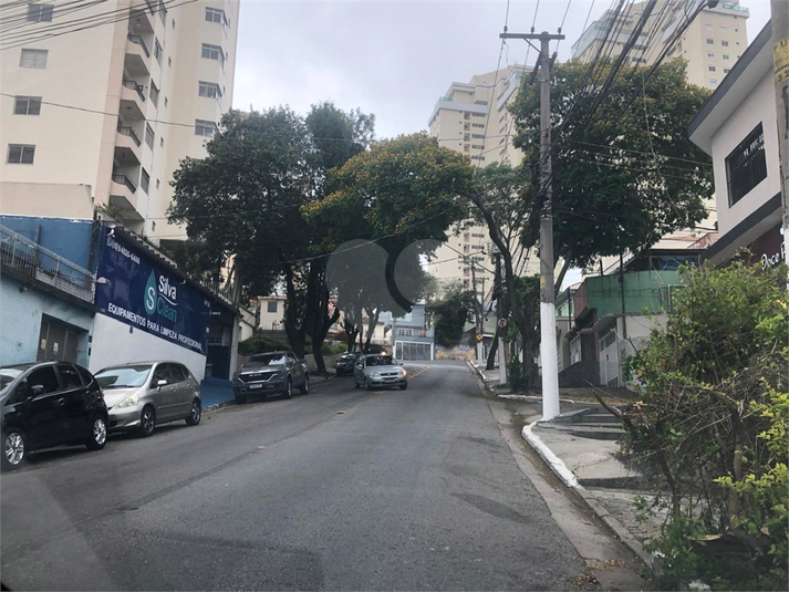 Foto REO1132909