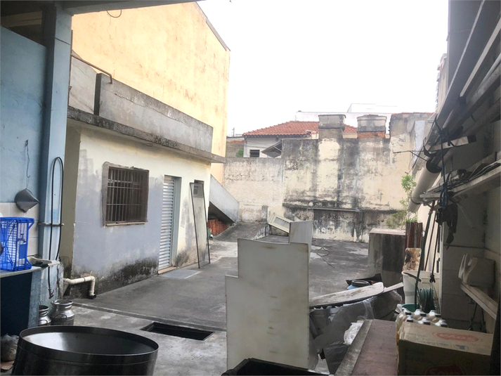Foto REO1132909