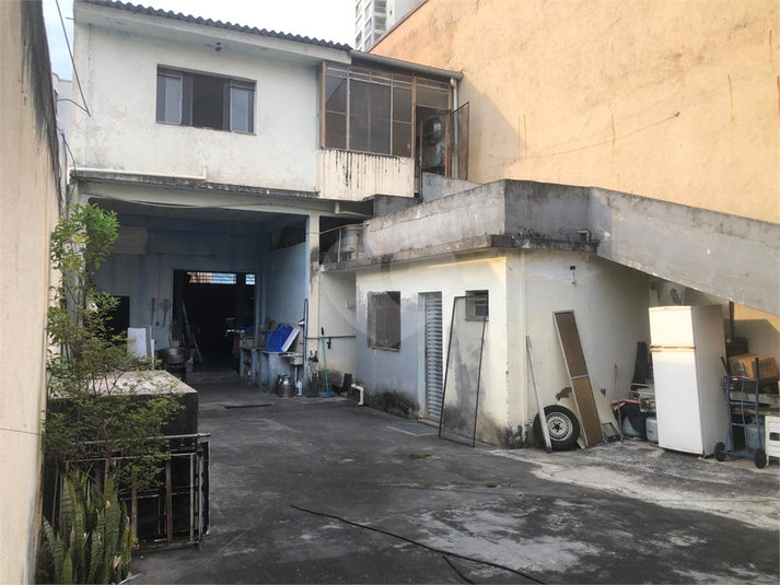 Foto REO1132909