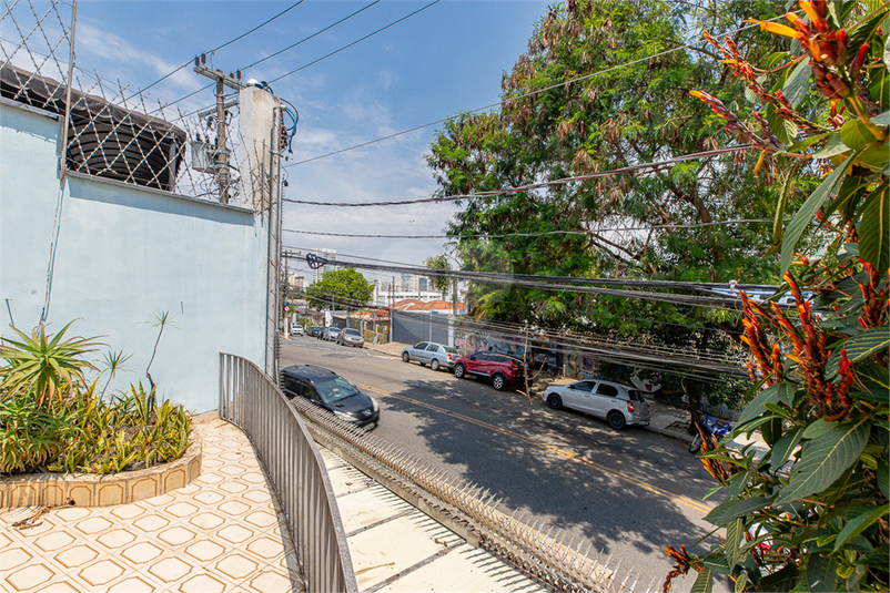 Foto REO1132922